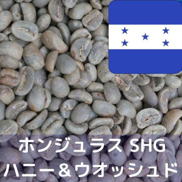 コーヒー生豆 1kg ホンジュラス SHG ハニー＆ウオッシュド