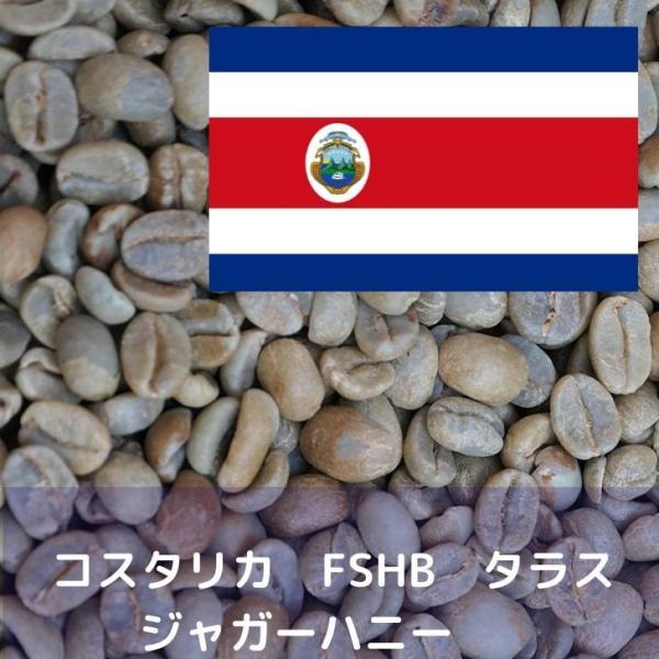 コーヒー生豆 1kg コスタリカ FSHB タラス ジャガーハニー