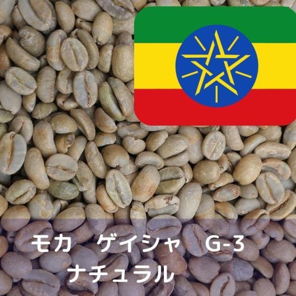 コーヒー生豆 1kg モカ ゲイシャ G-3 ナチュラル