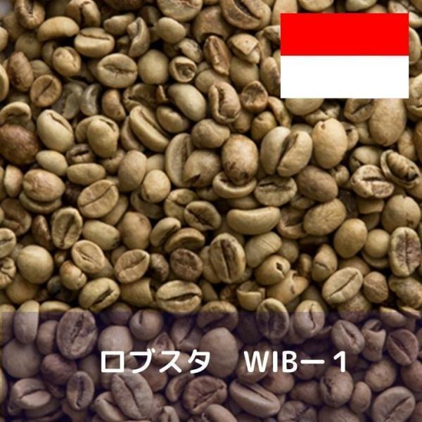 コーヒー生豆 10kg ロブスタ WIBー１