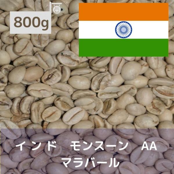 コーヒー生豆 800g インド モンスーン AA マラバール