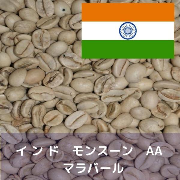 コーヒー生豆 10kg インド モンスーン AA マラバール