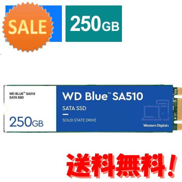 3個セット WESTERN DIGITAL WD Blue SA510 SATA M.2 SSD W...