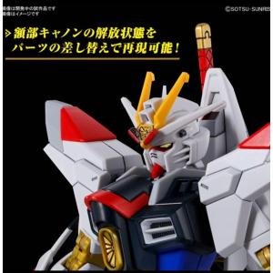 HG 機動戦士ガンダムSEED FREEDOM...の詳細画像1
