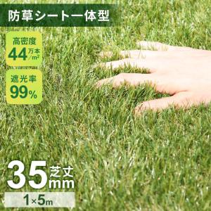 人工芝 ロール 1m×5m 芝丈35mm リアル人工芝 芝生 マット U字ピン16本付 幅1m リアル 人口芝生 超高密度 遮光 除草不要 ベランダ 芝生ロール グリオン