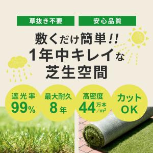 人工芝 ロール 芝丈20mm リアル人工芝 芝...の詳細画像1