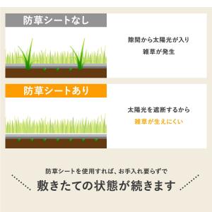 人工芝 ロール 芝丈20mm リアル人工芝 芝...の詳細画像4