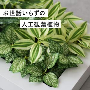 人工植物 観葉植物 光触媒 造花 植物 フェイ...の詳細画像4