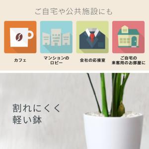 人工植物 観葉植物 光触媒 造花 植物 フェイ...の詳細画像2