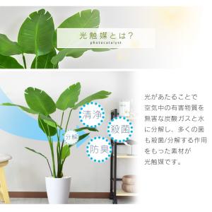 人工植物 観葉植物 光触媒 造花 植物 フェイ...の詳細画像3