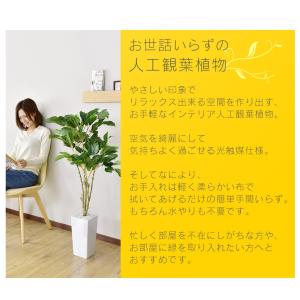 人工植物 観葉植物 光触媒 造花 植物 フェイ...の詳細画像1