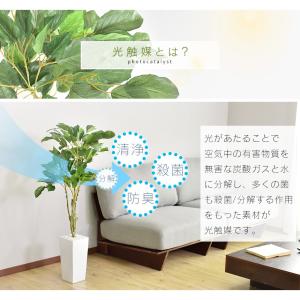 人工植物 観葉植物 光触媒 造花 植物 フェイ...の詳細画像3