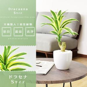 人工植物 観葉植物 光触媒 造花 植物 フェイ...の詳細画像1