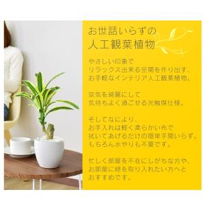 人工植物 観葉植物 光触媒 造花 植物 フェイ...の詳細画像2