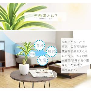 人工植物 観葉植物 光触媒 造花 植物 フェイ...の詳細画像4