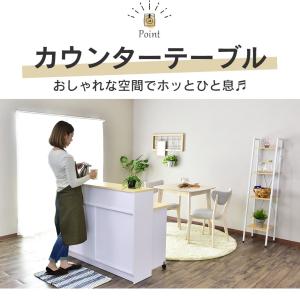 キッチンカウンター 120 カウンター収納 カ...の詳細画像5