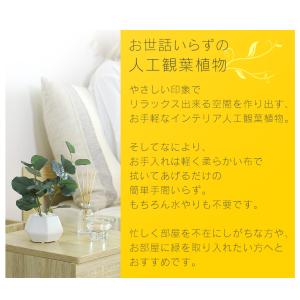 人工植物 観葉植物 造花 植物 フェイクグリー...の詳細画像2