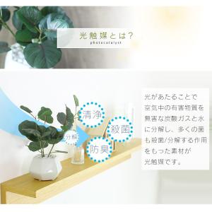 人工植物 観葉植物 造花 植物 フェイクグリー...の詳細画像4