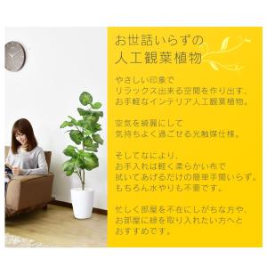 人工植物 観葉植物 光触媒 造花 植物 フェイ...の詳細画像1