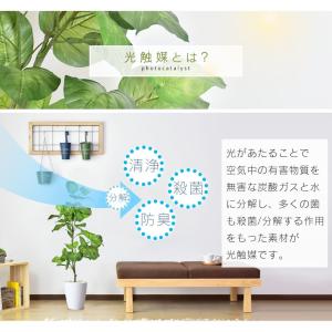 人工植物 観葉植物 光触媒 造花 植物 フェイ...の詳細画像2