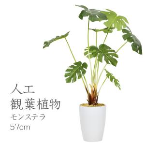 人工植物 観葉植物 DORIS 光触媒 造花 植...の商品画像