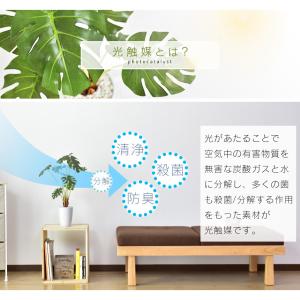 人工植物 観葉植物 光触媒 造花 植物 フェイ...の詳細画像3