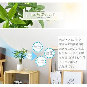 人工植物 観葉植物 造花 植物 フェイクグリー...の詳細画像3