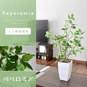 人工植物 観葉植物 光触媒 造花 植物 フェイ...の詳細画像1