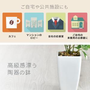 人工植物 観葉植物 光触媒 造花 植物 フェイ...の詳細画像3