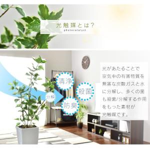 人工植物 観葉植物 光触媒 造花 植物 フェイ...の詳細画像4