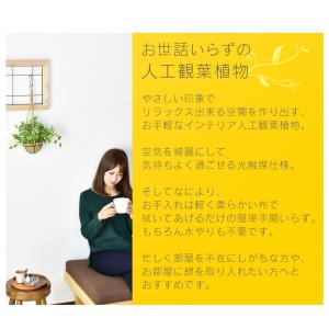 人工植物 観葉植物 光触媒 造花 植物 フェイ...の詳細画像2