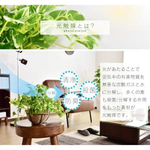 人工植物 観葉植物 光触媒 造花 植物 フェイ...の詳細画像3