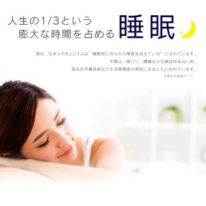 高反発マットレス ソファベッド ベット ローソ...の詳細画像4