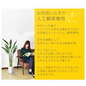 人工植物 観葉植物 光触媒 造花 植物 フェイ...の詳細画像1