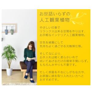 人工植物 観葉植物 光触媒 造花 植物 フェイ...の詳細画像1