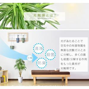 人工植物 観葉植物 光触媒 造花 植物 フェイ...の詳細画像2
