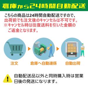 マーカーコーン フラット 平ら コンパクト デ...の詳細画像1