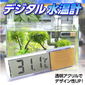 水温計 透明 デジタル コードレス 水槽管理 温度計 魚飼育