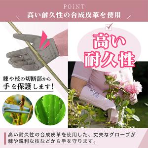 ガーデングローブ ガーデニング 薔薇 バラ ト...の詳細画像2