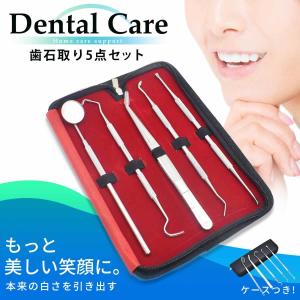 歯石取り 2siw504 100円雑貨 日用品卸 Bababa 通販 Yahoo ショッピング