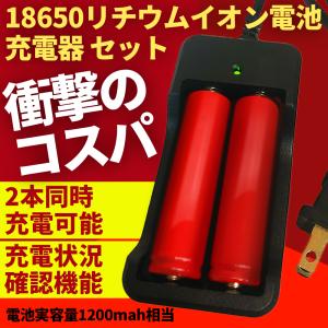リチウムイオン 電池 充電器 セット 18650電池2本 おまけ付 ヘッドライト 懐中電灯 LEDライト 保護回路 過充電防止機能 ポイント消化