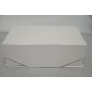 ヒールライズ（イオン導入　美顔器） インボイス対応 ヒールライズ イオン導入 美顔器 トーニング