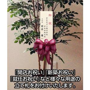 立て札 有料(ご注意ください、当商品のみのご注文...の商品画像