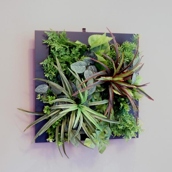壁面グリーンフレームドラセナ ブラック（光触媒）造花・観葉植物・インテリアグリーン