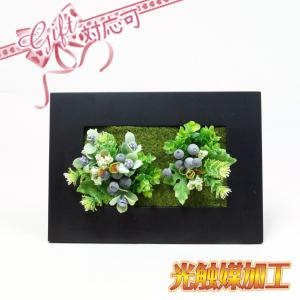 壁面グリーンフレームE ロング （光触媒） 造花 観葉植物 インテリアグリーン ギフト プレゼント