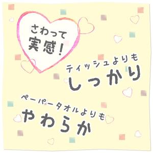 10%OFF ペーパータオル 花束 ハンドタオ...の詳細画像3