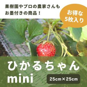 農用シート 日本製 家庭菜園 ひかるちゃんmini5枚セット 25×25cm Uピン付き プランター用 高い光反射 太陽光反射 透水 防草効果 病気防止 防虫 成長促進