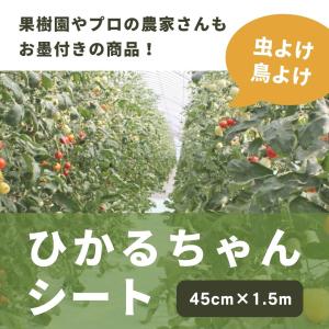 農用シート 日本製 家庭菜園 ひかるちゃんシート 45cm×1.5m 高い光反射 太陽光反射 透水 防草効果 病気防止 防虫 成長促進 色づきアップ 地温上昇抑制