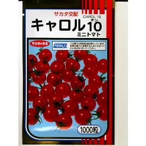 トマト カネコ交配 イエローミミ カネコのミニトマト種 : GREEN DEPO