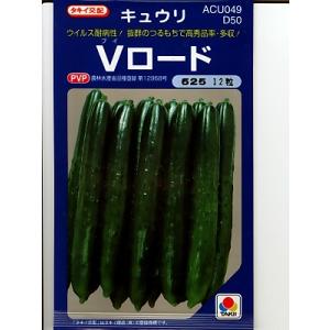 キュウリ タキイ交配 Vロード タキイのキュウリです。 : GREEN DEPO